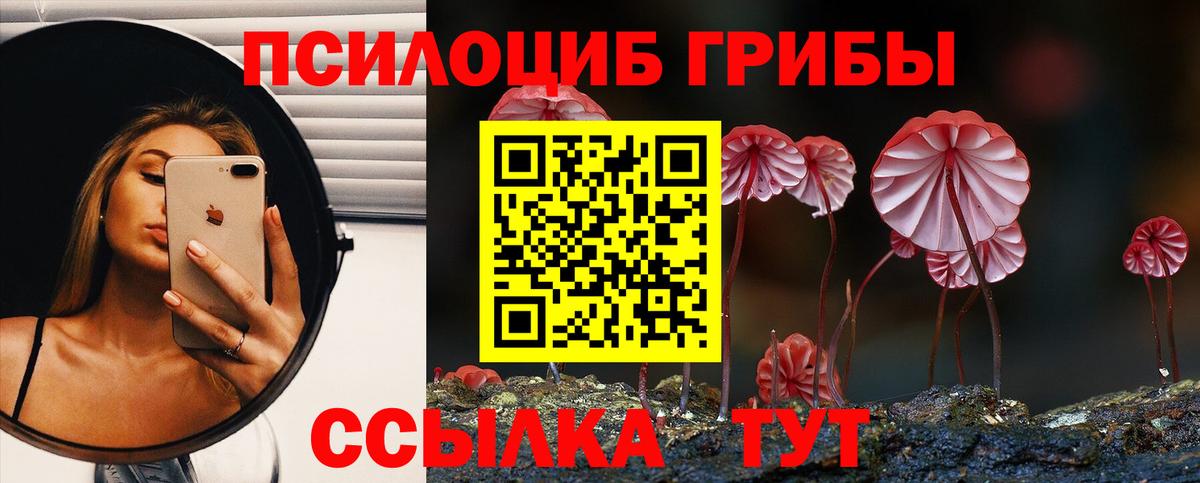 Галлюциногенные грибы прущие грибы Семёнов