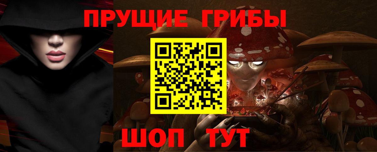 Псилоцибиновые грибы Psilocybe  Вход с VPN  Семёнов 